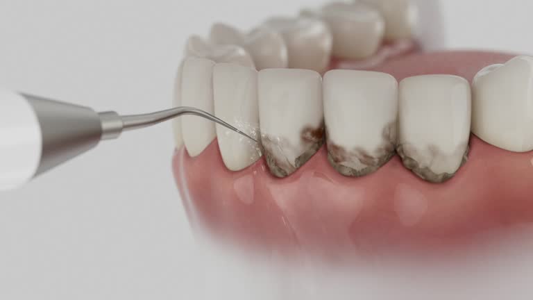 Reliable Dental contractor in Benton Park, CA by Dentist Open Now